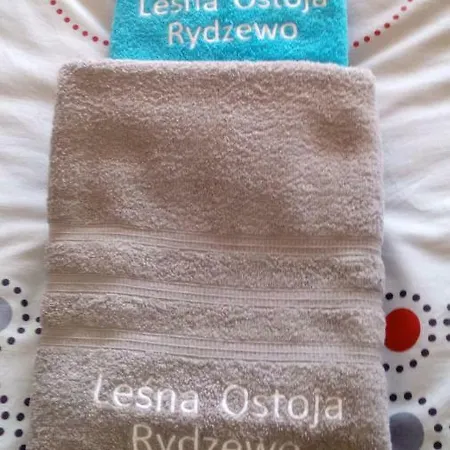 Dom Wakacyjny Lesna Ostoja Semesterbostad